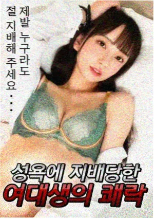 九州风华录
